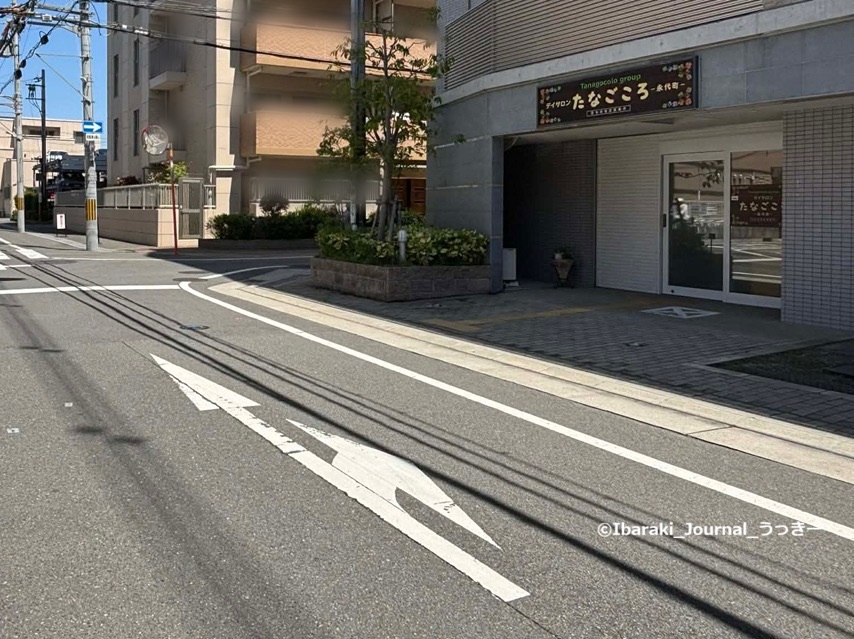 12たなごころへ行くほうの道-fd68577d-c4e0-4dda-a0ef-07094ff99d34