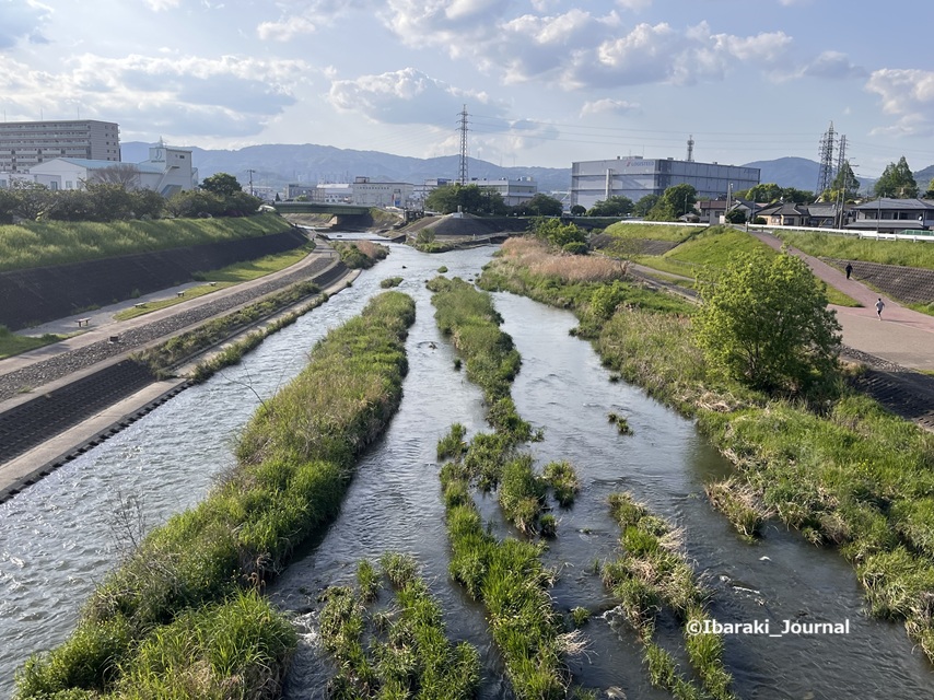 0425安威川の西河原新橋からIMG_0300.jpg