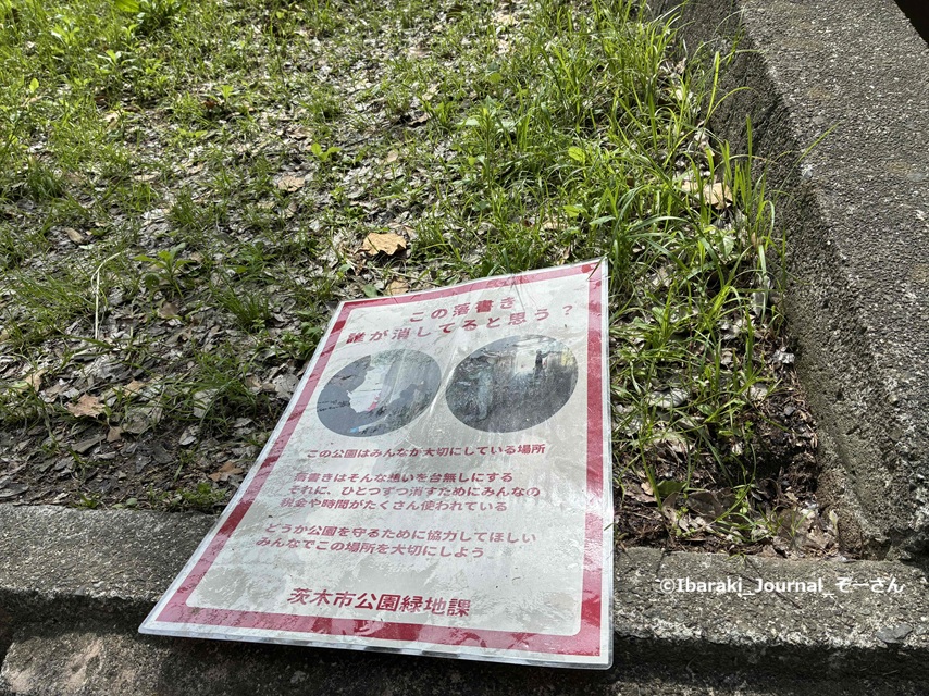 西河原公園でIMG_8945.jpg