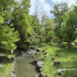 西河原レクピク西河原公園の小川IMG_8940.jpg