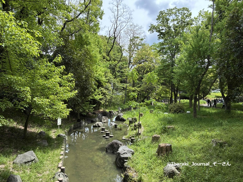 西河原レクピク西河原公園の小川IMG_8940.jpg