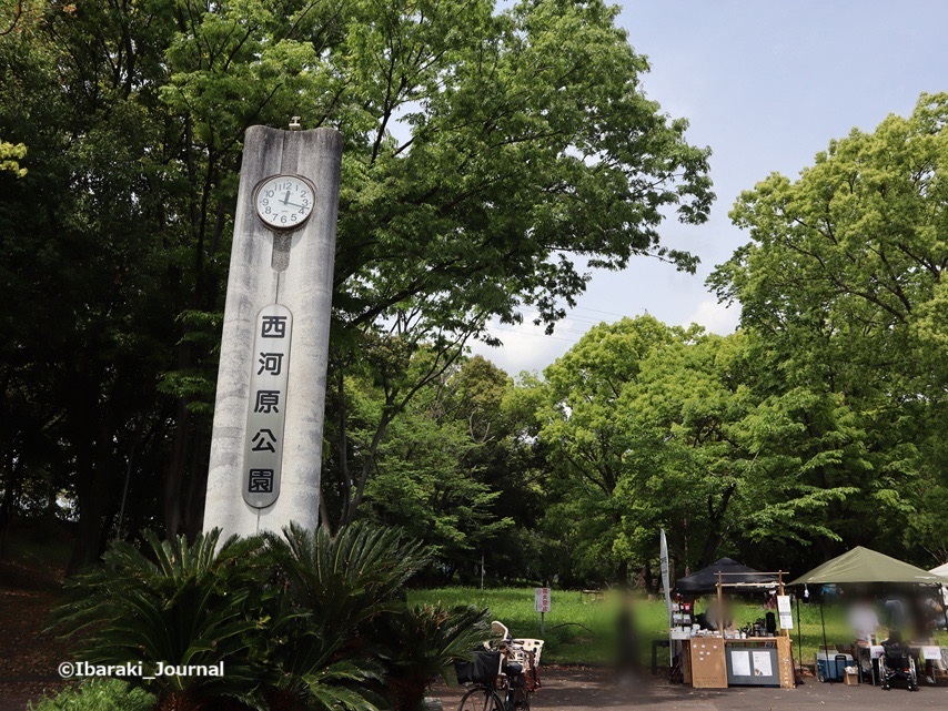 0425西河原公園時計台のところIMG_1318.jpg