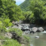 2-川の様子田植え6dcacdf0-867a-4d67-9231-b7b6f7673197