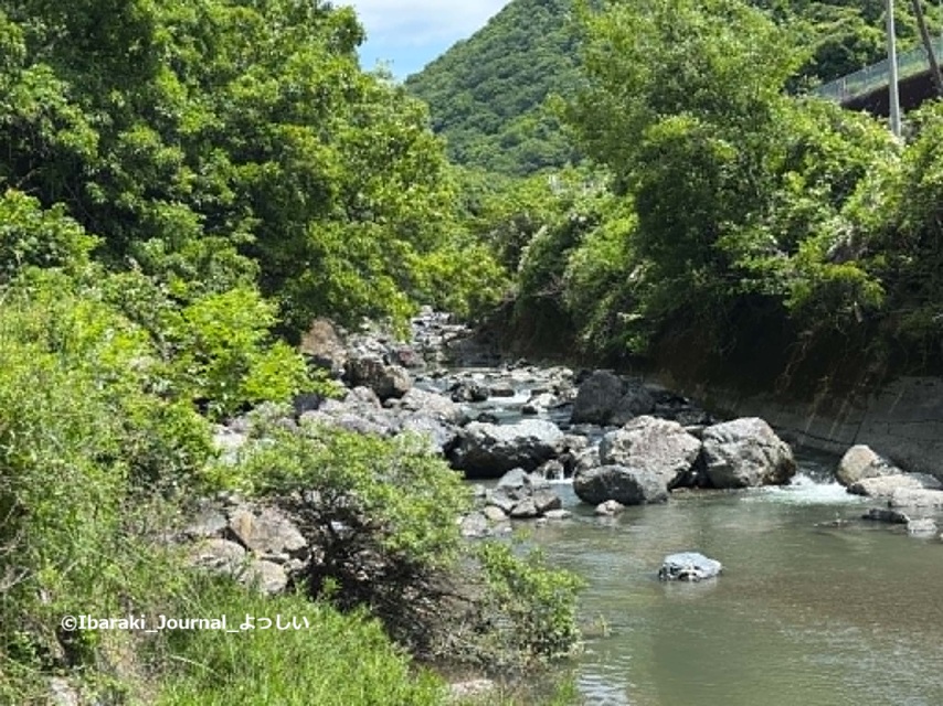2-川の様子田植え6dcacdf0-867a-4d67-9231-b7b6f7673197