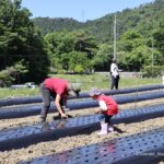 0517楽農コミュニティ親子でたねまきIMG_1419