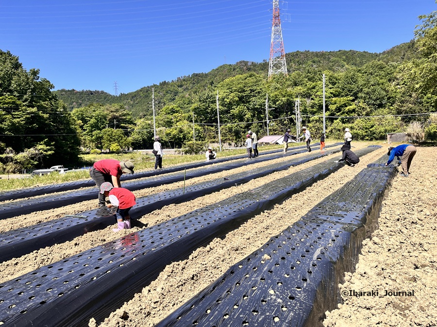 0517楽農コミュニティでたねまきをする風景IMG_0691