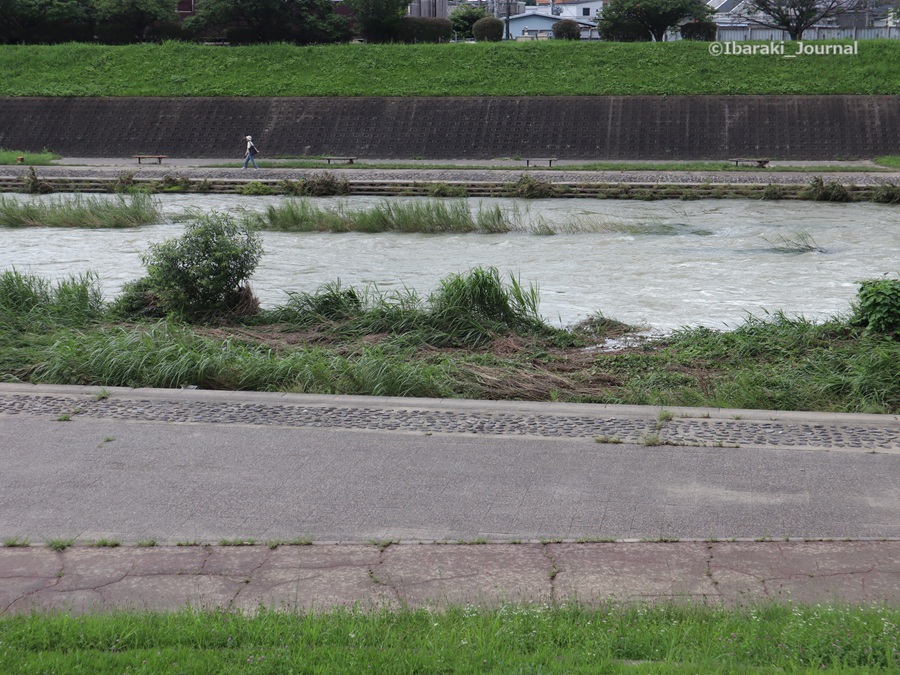 0702安威川の東側を歩く１IMG_1479