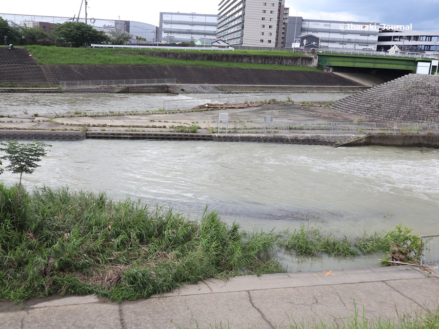 0702安威川の合流地点IMG_1484