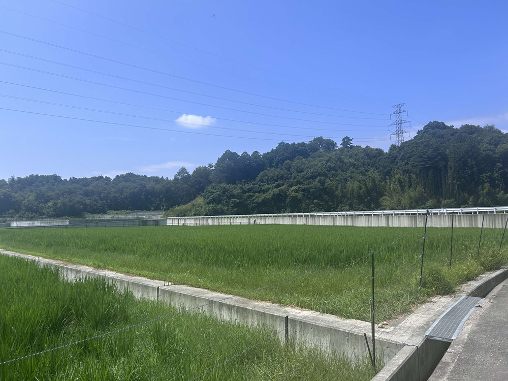 10月まち魅力ツアー風景写真
IMG_6279