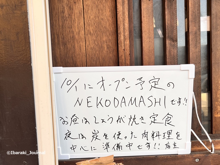 0924茨木神社向かいNEKODAMASHIお知らせIMG_3368