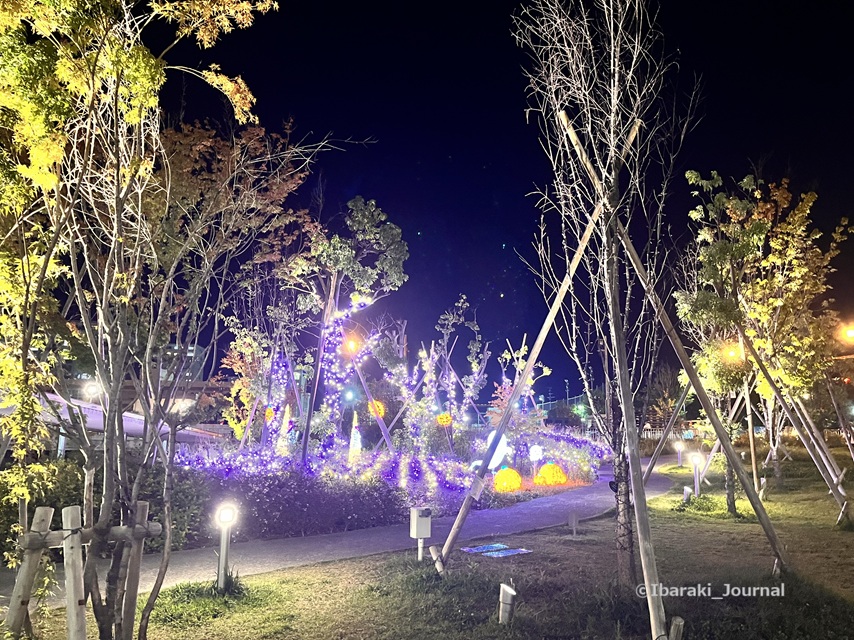 1007おにクルにハロウィンのイルミ１IMG_3770