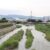 0624安威川を西河原新橋から見るIMG_6009